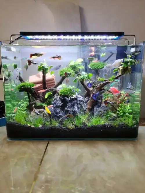 家里小娃娃把鱼缸装满了