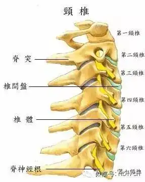 只需一分钟,颈椎病无影踪!【5月份地铁券免费领】