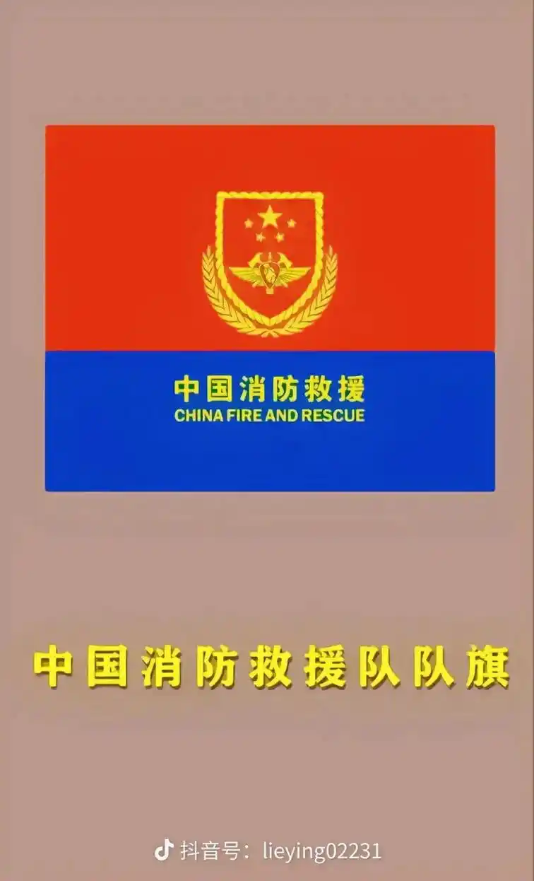 中国消防救援 香港特别行政区 区旗 中华人民共和国国旗 中国 - 抖音