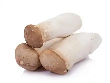 杏鲍菇作用功效有哪些看了就知道