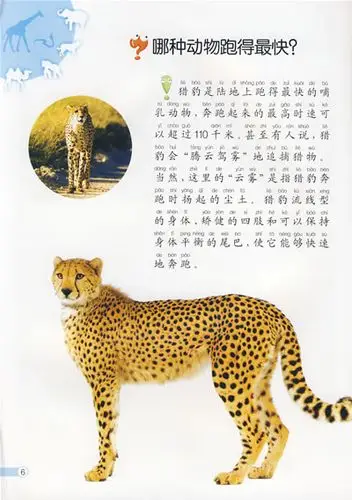 马小跳爱科学注音版:陆地动物