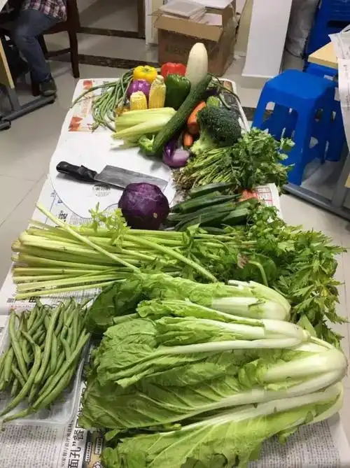 一桌青菜搞笑图片