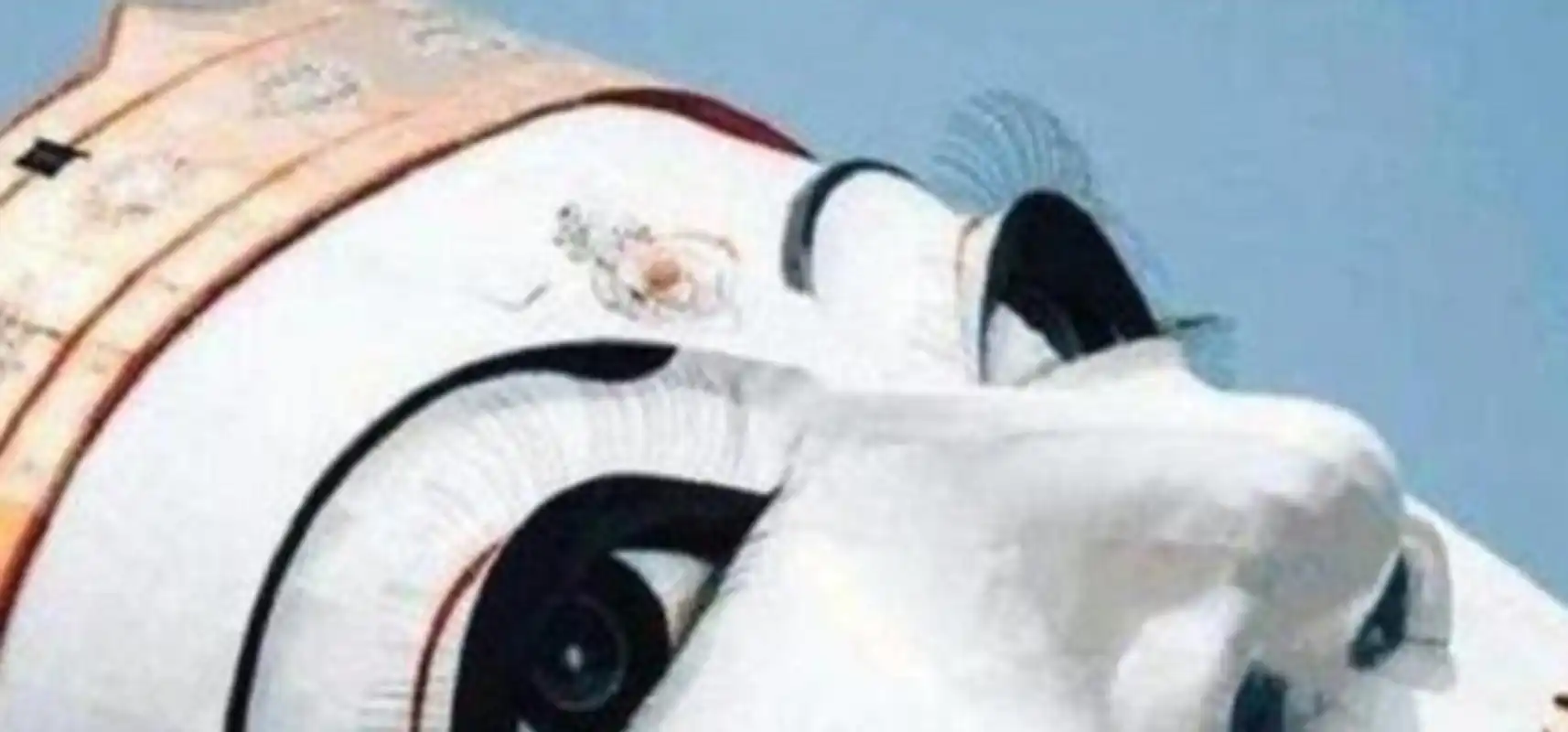 这尊佛名叫达隆卧佛,坐落于一片非常庞大,而又浓密的山林中,佛长180米