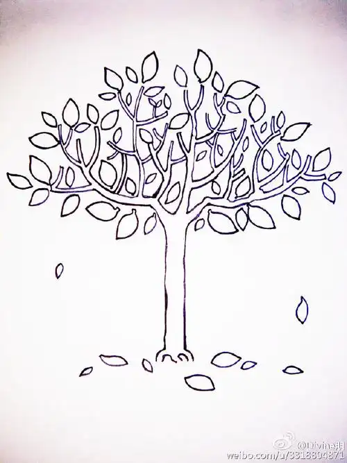一棵树的简笔画