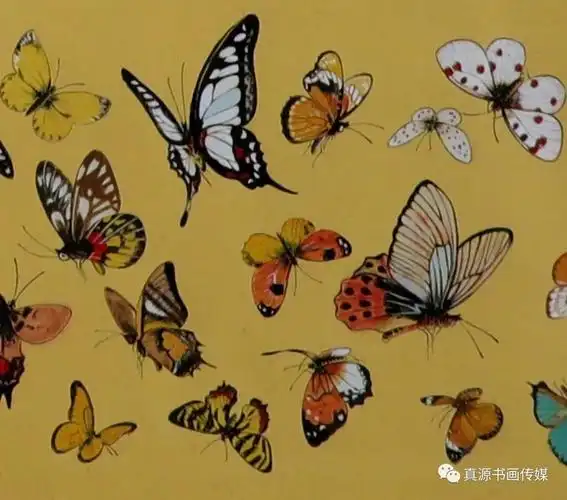 鲍彦冰工笔百蝶图