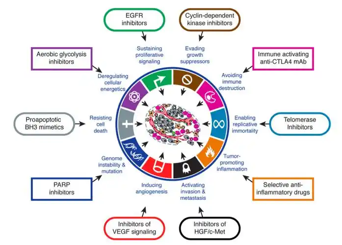 immune destruction),肿瘤促炎症作用(tumor-promoting inflammation)