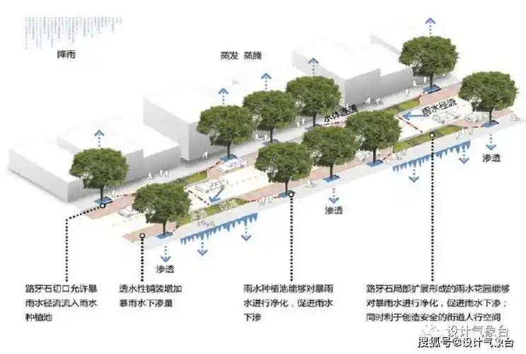 俞孔坚:海绵城市不是形象工程!_广州_雨水_生态