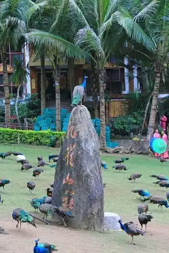 西双版纳孔雀山庄