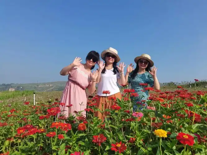 平凡日子,删减烦恼,留愉悦的心情! 万花丛中,拈花一笑,留最 - 抖音