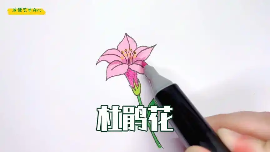 杜鹃花简笔画法,一起试试吧