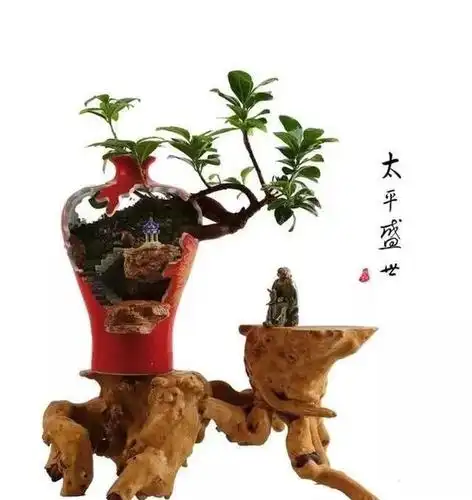 原创废旧酒瓶做盆景盆盆是精品惊艳众人