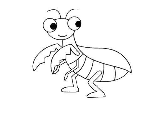 蝗虫 简笔画蝗虫简笔画怎么画儿童彩色简笔画卡通动物蝗虫蚱蜢简笔画