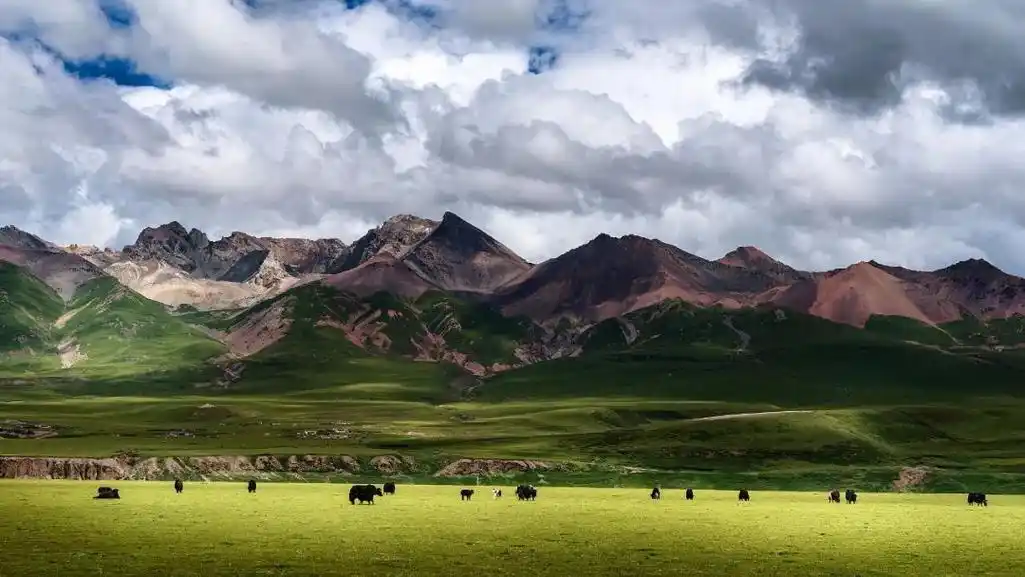 夏天去看草原最美的风景