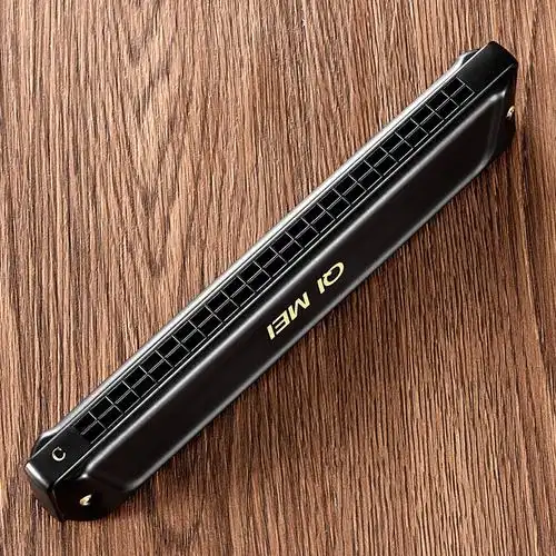 重音演奏专业成人初学德国进口复音霸王24孔口琴