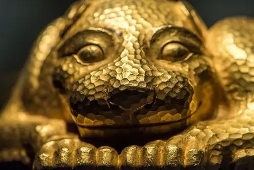 南京博物院藏· 西汉金兽