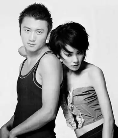 王菲与谢霆锋,两位音乐领域的传奇人物,其间的感情故事如同一曲悠扬的