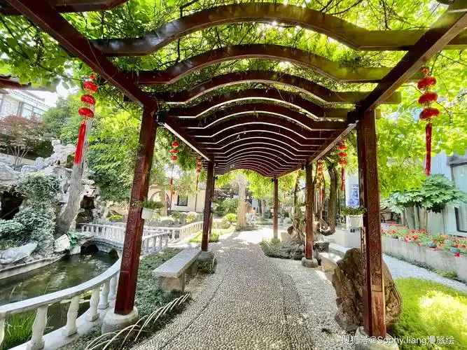 白墙花窗,藤蔓蜿蜒,藤架长廊光影斑驳.