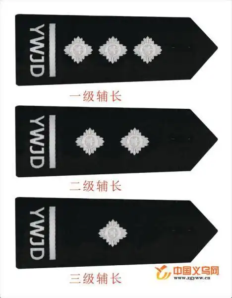 公安机关正厅的肩章公安机关正风肃纪制度2022已更新今日更新