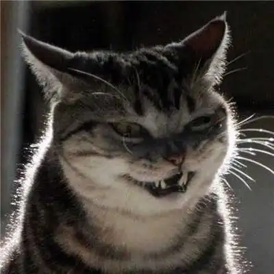 最火动物搞怪情侣头像