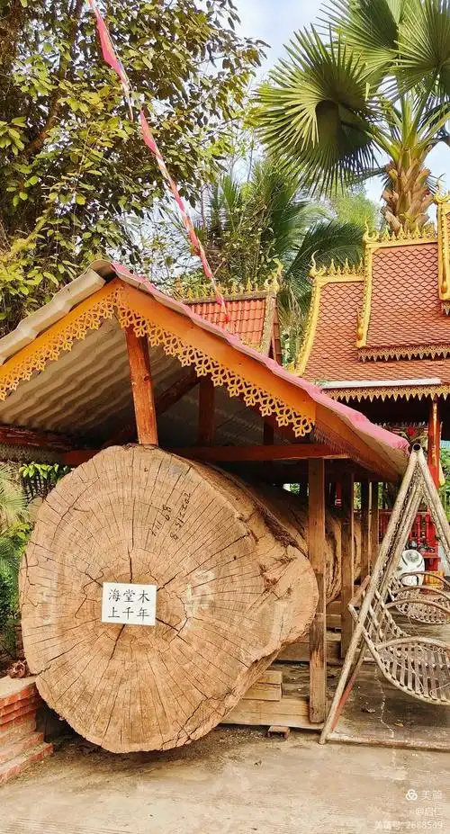 西双版纳傣族园!