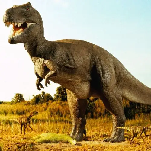 精选高大威猛的霸王龙动物图片分享!