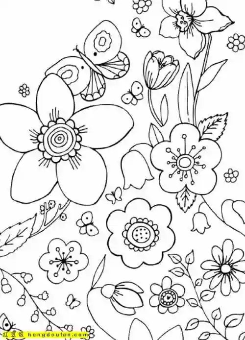 15张治愈心灵培养专注力的秘密花园涂色图片免费下载-红豆饭小学生简