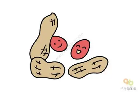 花生怎么画简笔画图 花生怎么画qq红包