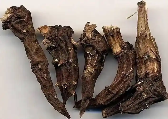 2017年厦门药铺晒草乌被偷小偷泡酒饮用后身亡药店店主赔4万