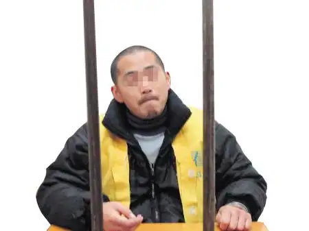 犯罪嫌疑人程某某已被依法刑拘.颜家文 刘祝鳌 摄影报道