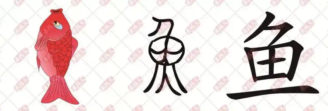 双法字理鱼鱼米之乡