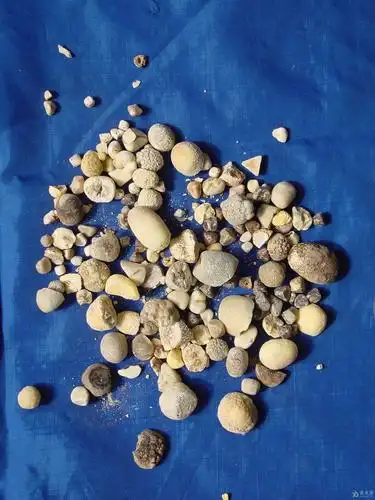 泌尿系结石的预防_泌尿系结石_如何预防_营养与饮食 - 好大夫在线