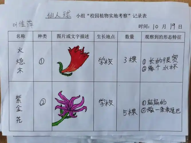 南安市诗山中心小学诗钟校区四年级实践活动"我给校园植物挂牌"