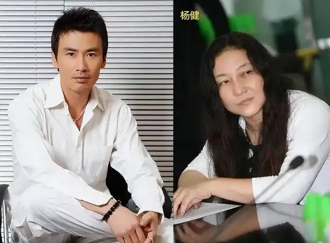 柳云龙离婚背后的秘密:公司转移至情人名下,妻子的惋惜之情引人深思