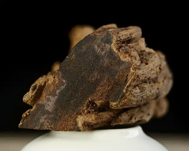 世纪沉香坊芽庄白奇楠原材九分沉1490克