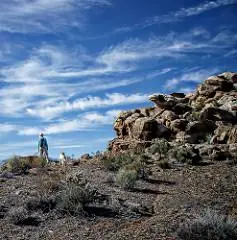 ginger top of the hill