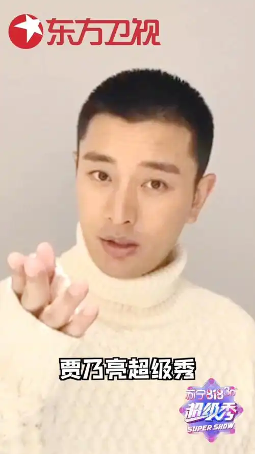 贾乃亮影像资讯