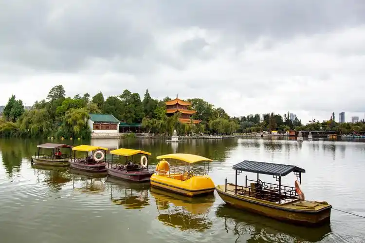 大观公园的清晨