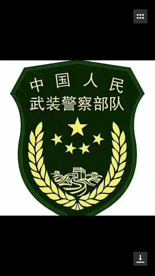 h3>这是我们武警部队的臂章! /h3>