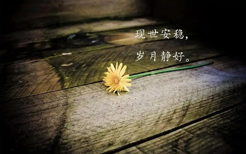 现世安稳岁月静好.jpg