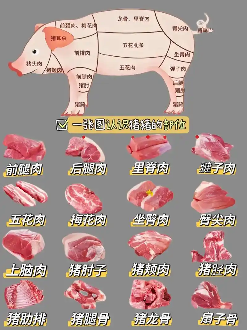 一张图认识猪肉各个部位!