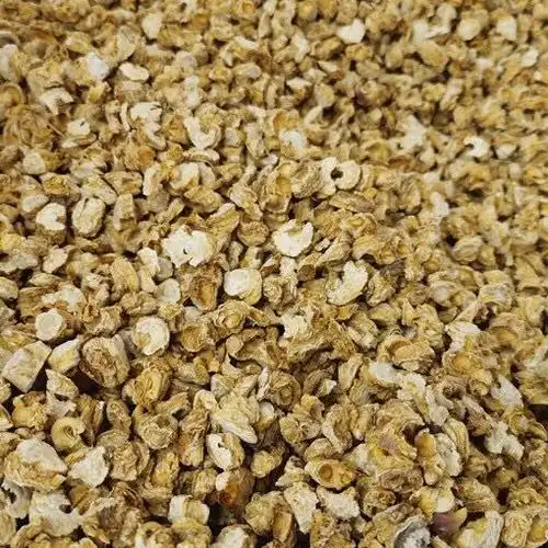 【官方旗舰】西洋参芦头花旗参头人参头段足干泡水炖汤煮粥泡酒 100g