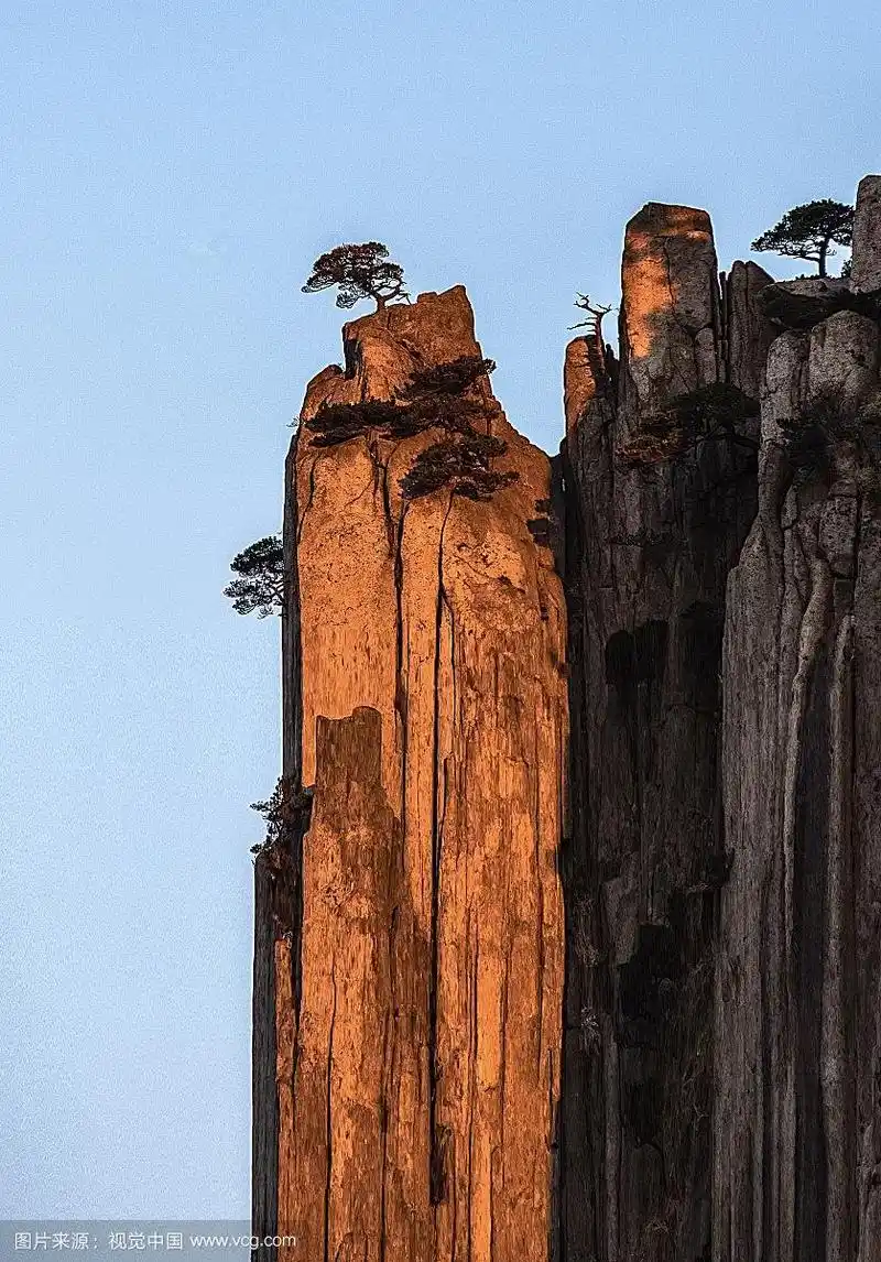 黄山悬崖上的松树