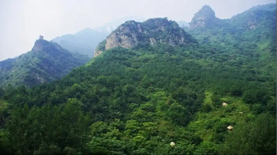 云岫谷游猎自然风景区