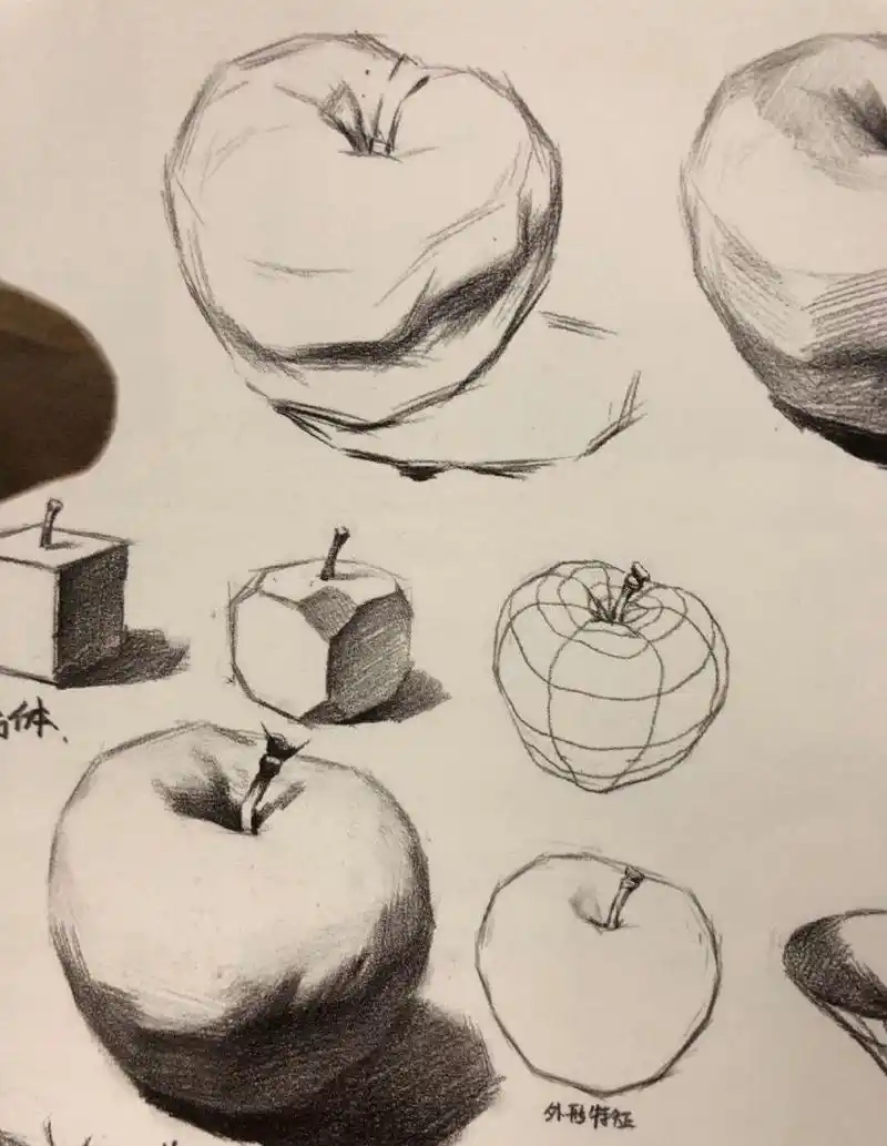 艺考美术-素描|苹果作画步骤 高分! 素描静物,苹果完整步骤图!