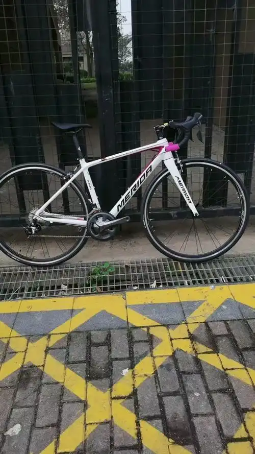 斯特拉king白粉色几何图 - 抖音