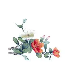 古风手绘素雅花素材