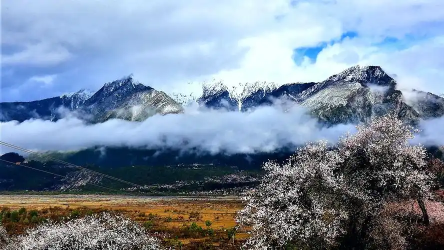 桃花依旧笑春风 (西藏: 波密,林芝看桃花)