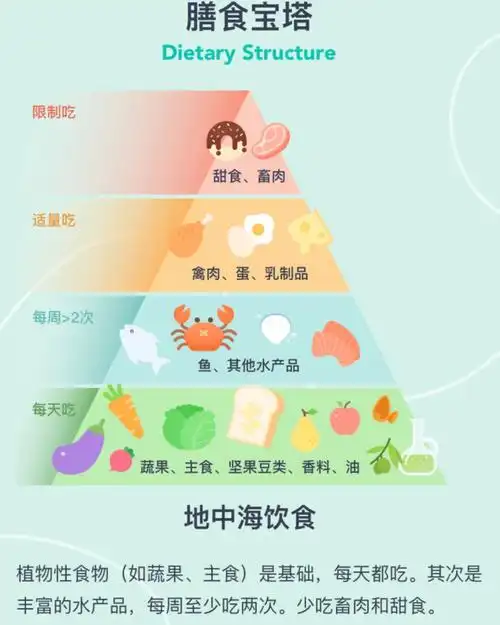 跟着薄荷减肥第二天健康的饮食结构选择