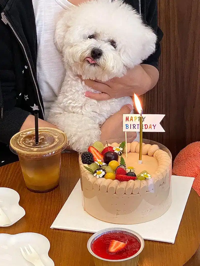 修狗都嘴馋的伯爵茶奶油蛋糕