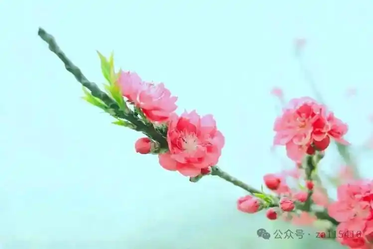 《中国爱情诗刊》(第2802期)"中华微型诗"同题诗会